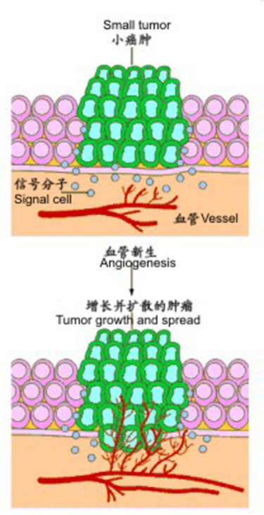 WeChat Image_20200603134204.png