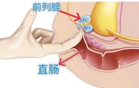 WeChat Image_20201109092616.jpg