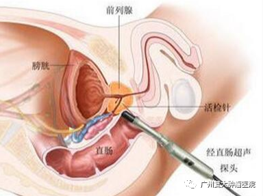 WeChat Image_20201109092619.png