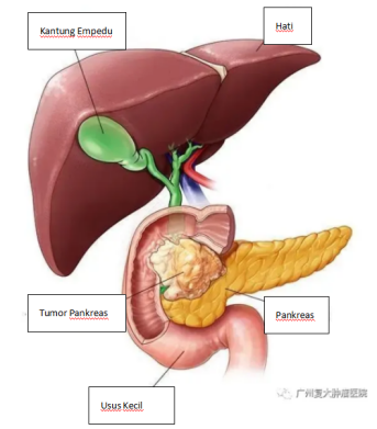 WeChat Image_20210803105726.png