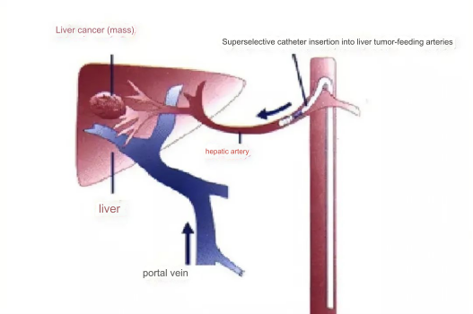 Image_20240319134922.png