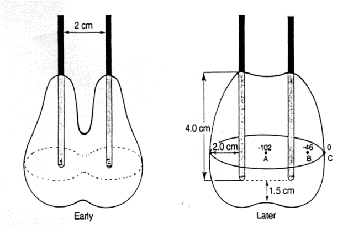 Image_20240716163349.png