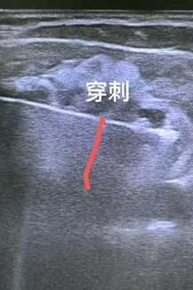 Image_20250225133420.png
