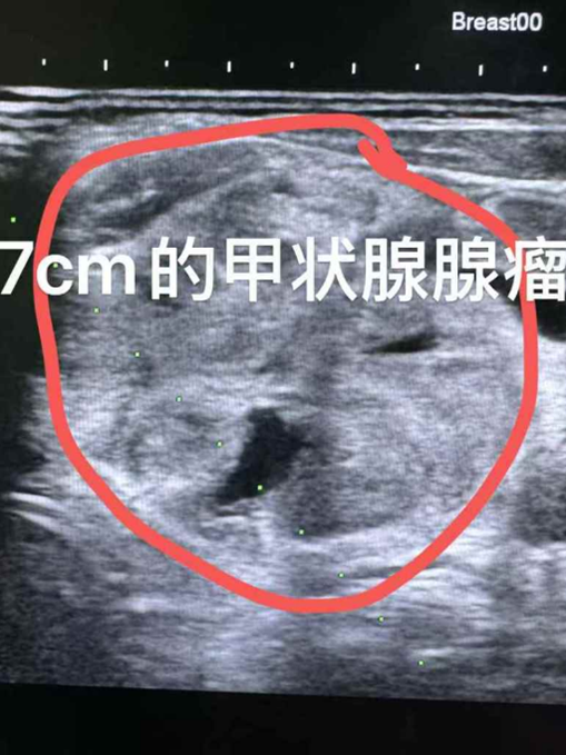 Image_20250225133418.png