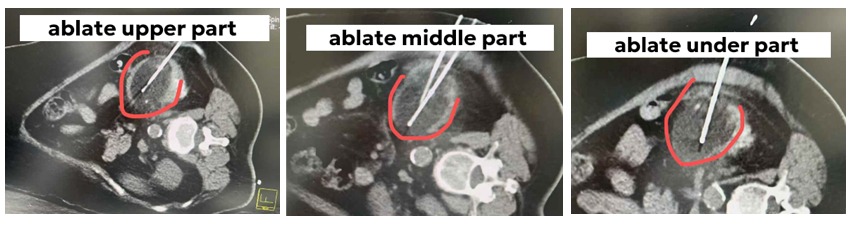 WhatsApp Image 2025-08-05 at 16.00.06.jpeg