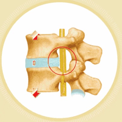 fuda09_153705.jpeg WhatsApp Image 2026-01-09 at 13.29.38.jpeg