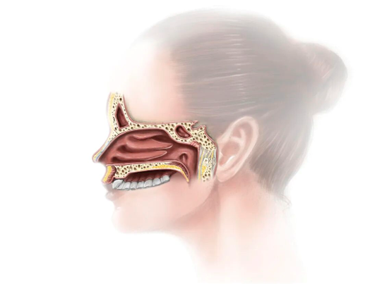 fuda05_491401.png Image_20260605122421_89_75.png