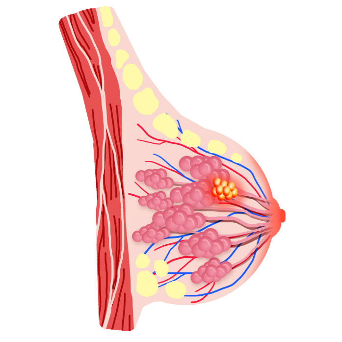 Image_20260702090114_946_35.png